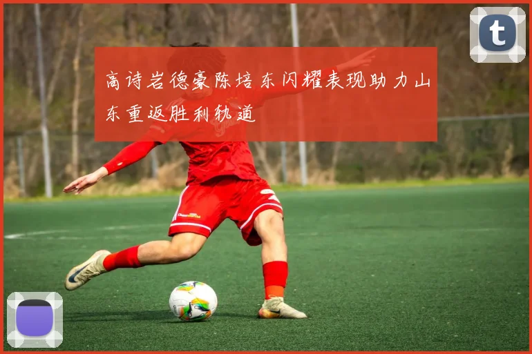 高诗岩德豪陈培东闪耀表现助力山东重返胜利轨道